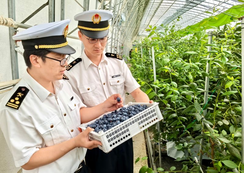 內(nèi)需擴(kuò)大帶動進(jìn)口趨穩(wěn) ----上半年山東機(jī)電產(chǎn)品進(jìn)口實現(xiàn)兩位數(shù)增長（圖）